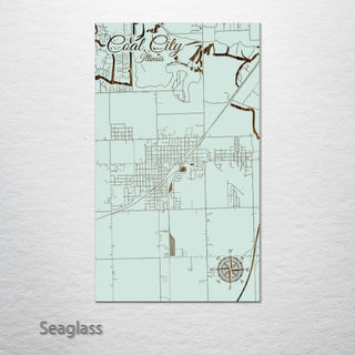 Coal City, Illinois Street Map