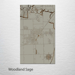 Coal City, Illinois Street Map