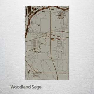 Colona, Illinois Street Map