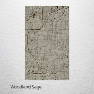 Downers Grove, Illinois Street Map