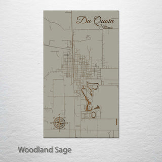 Du Quoin, Illinois Street Map