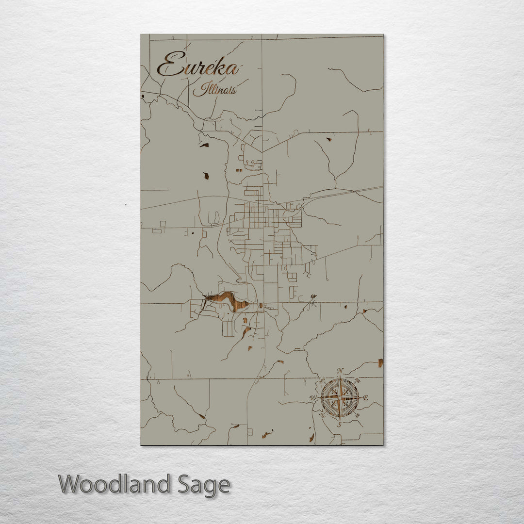 Eureka, Illinois Street Map