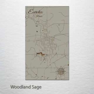 Eureka, Illinois Street Map
