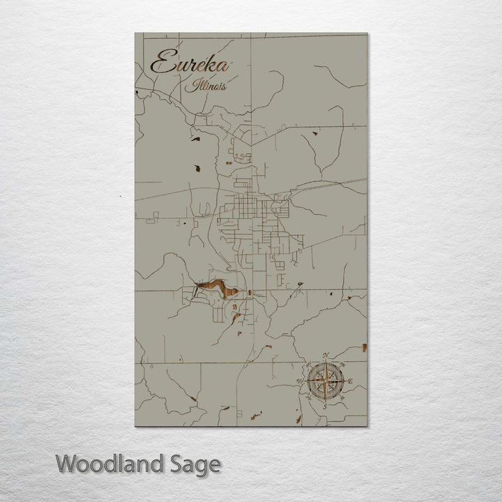 Eureka, Illinois Street Map