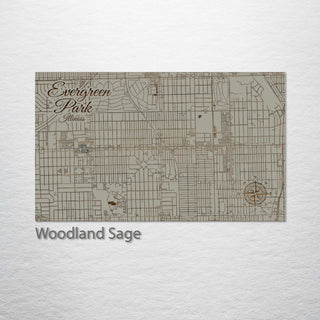 Evergreen Park, Illinois Street Map