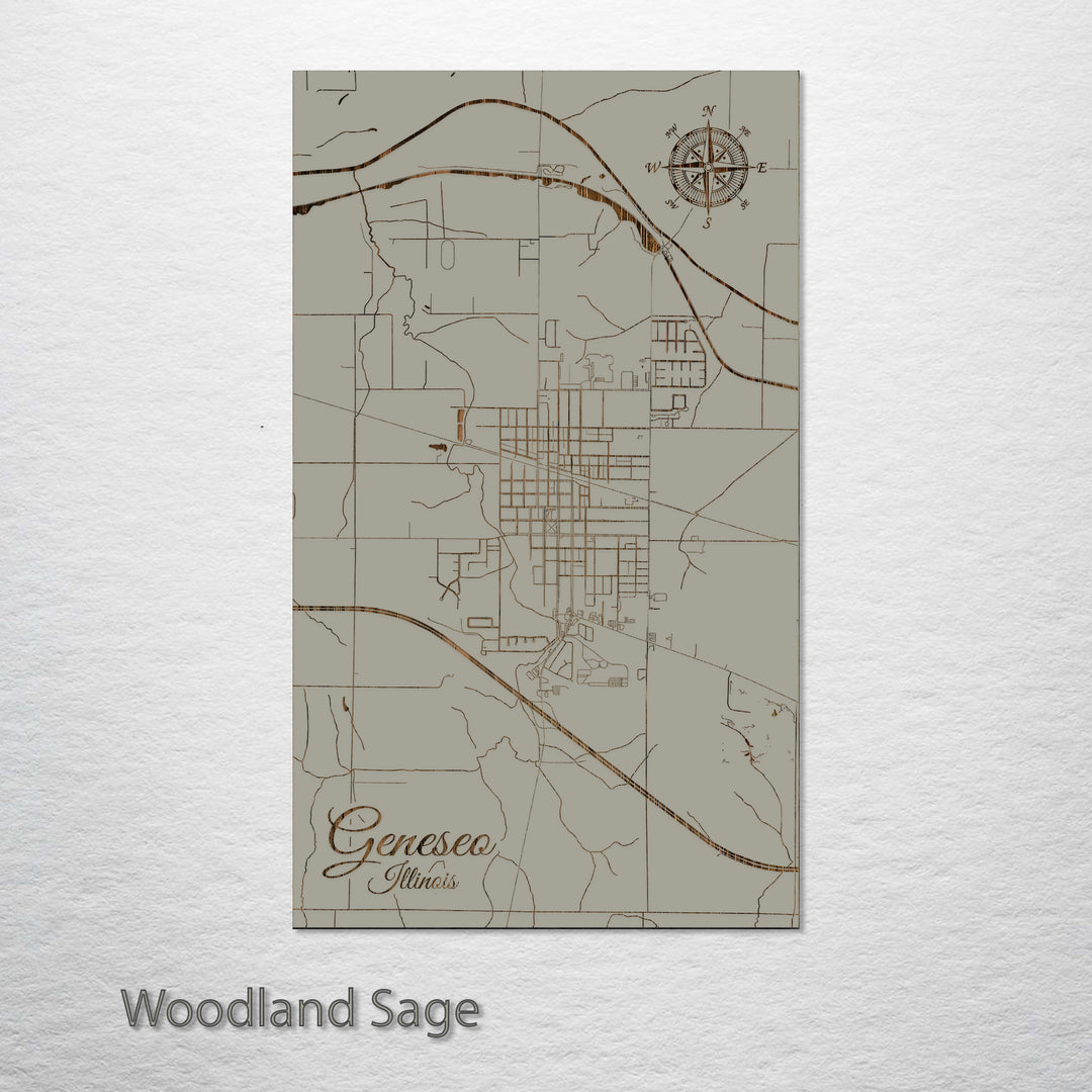 Geneseo, Illinois Street Map