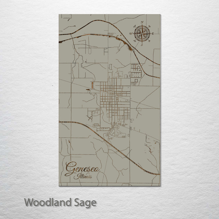 Geneseo, Illinois Street Map