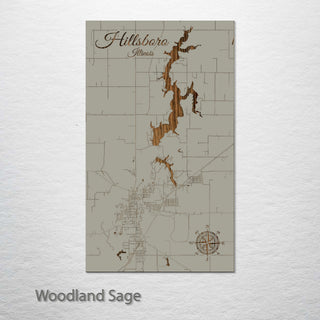 Hillsboro, Illinois Street Map