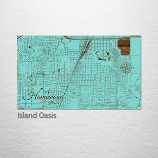 Homewood, Illinois Street Map