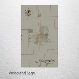 Hoopeston, Illinois Street Map