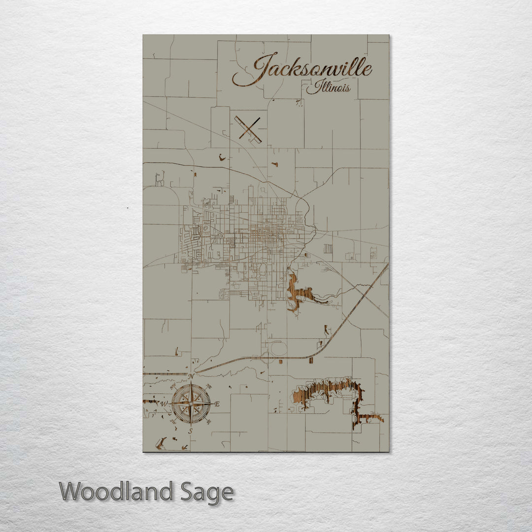 Jacksonville, Illinois Street Map