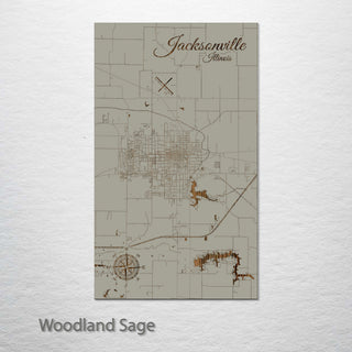 Jacksonville, Illinois Street Map