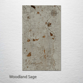 Libertyville, Illinois Street Map
