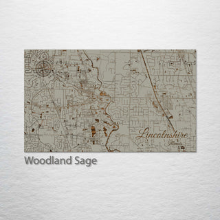 Lincolnshire, Illinois Street Map