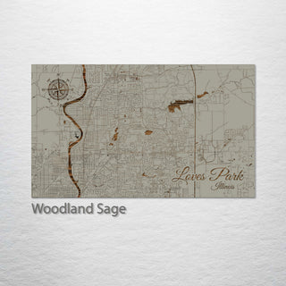 Loves Park, Illinois Street Map