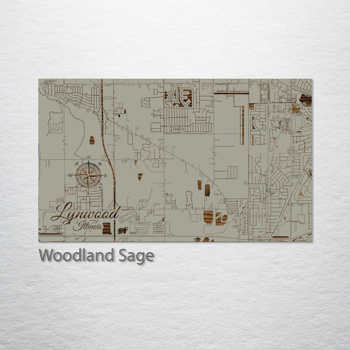 Lynwood, Illinois Street Map