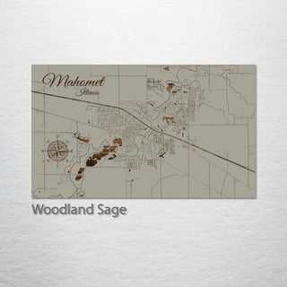 Mahomet, Illinois Street Map