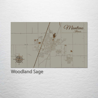 Manteno, Illinois Street Map