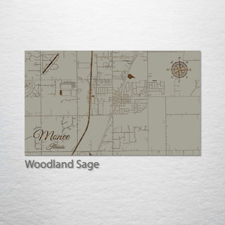 Monee, Illinois Street Map