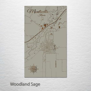 Monticello, Illinois Street Map