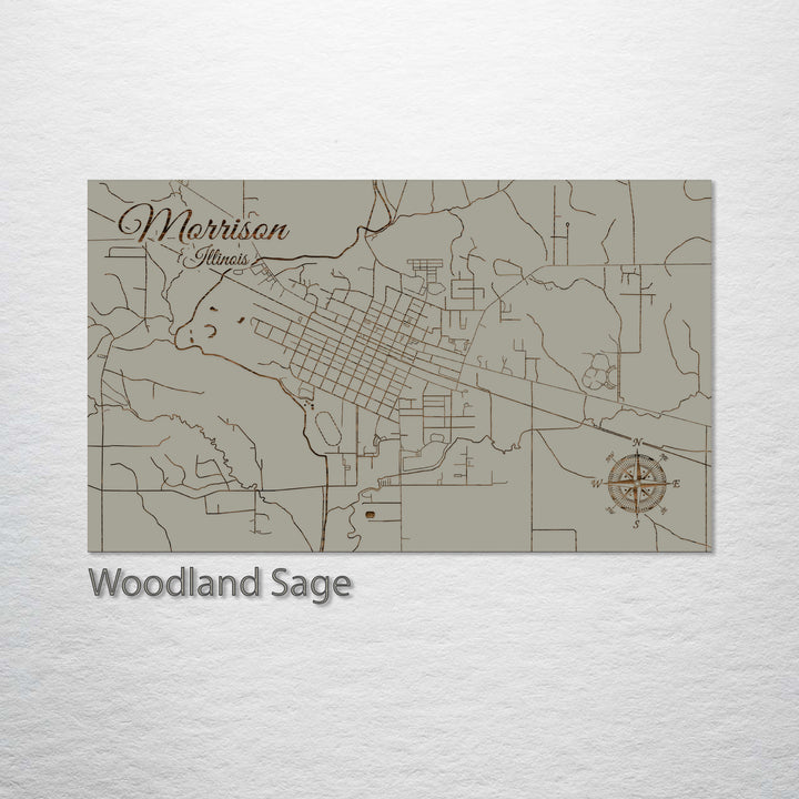 Morrison, Illinois Street Map