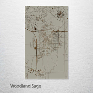 Morton, Illinois Street Map
