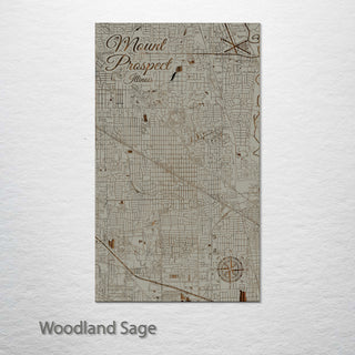 Mount Prospect, Illinois Street Map