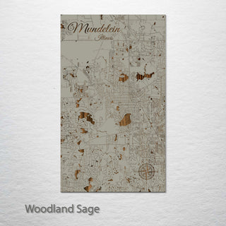 Mundelein, Illinois Street Map