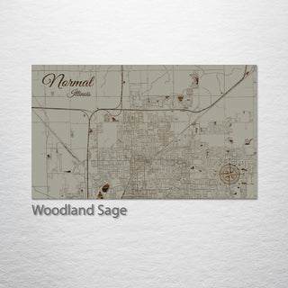 Normal, Illinois Street Map