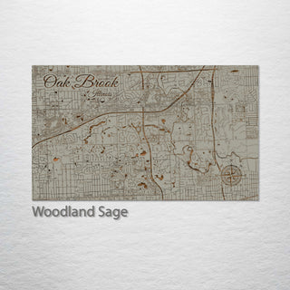 Oak Brook, Illinois Street Map