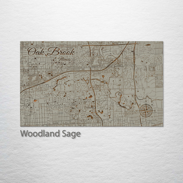 Oak Brook, Illinois Street Map