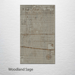 Oak Park, Illinois Street Map