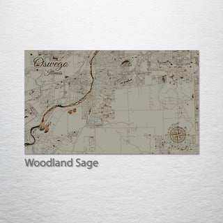 Oswego, Illinois Street Map