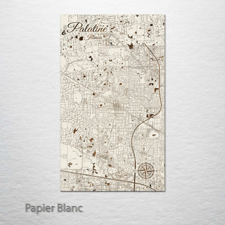 Palatine, Illinois Street Map