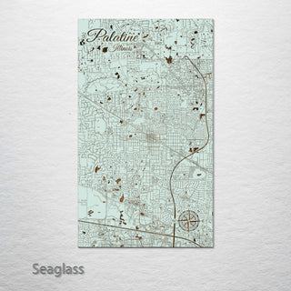 Palatine, Illinois Street Map