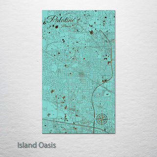 Palatine, Illinois Street Map