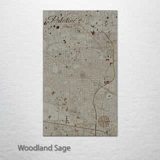 Palatine, Illinois Street Map