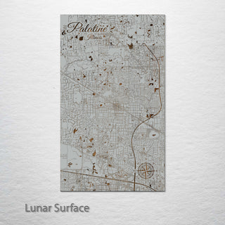 Palatine, Illinois Street Map