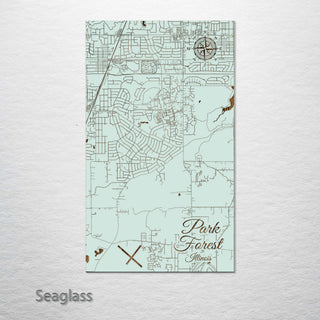 Park Forest, Illinois Street Map