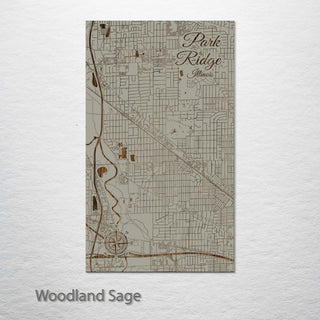 Park Ridge, Illinois Street Map