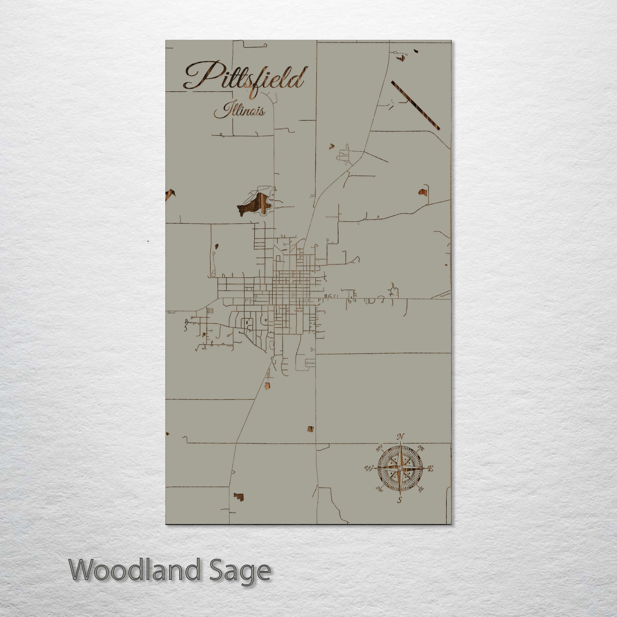 Pittsfield, Illinois Street Map – Fire & Pine Pittsfield, Illinois Street Map – Fire & Pine