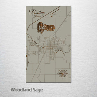 Pontiac, Illinois Street Map