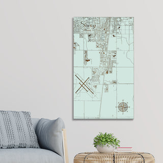 Savoy, Illinois Street Map