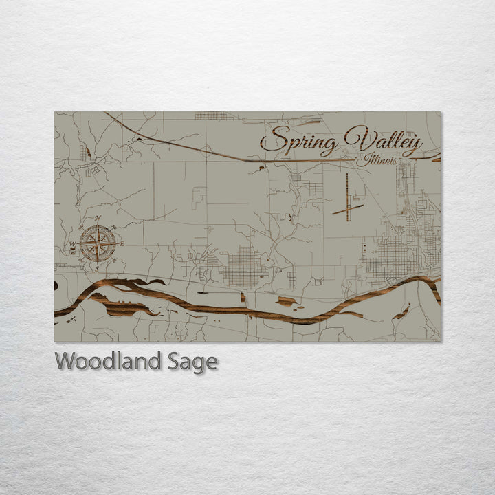 Spring Valley, Illinois Street Map