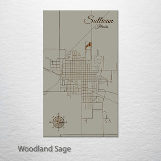 Sullivan, Illinois Street Map