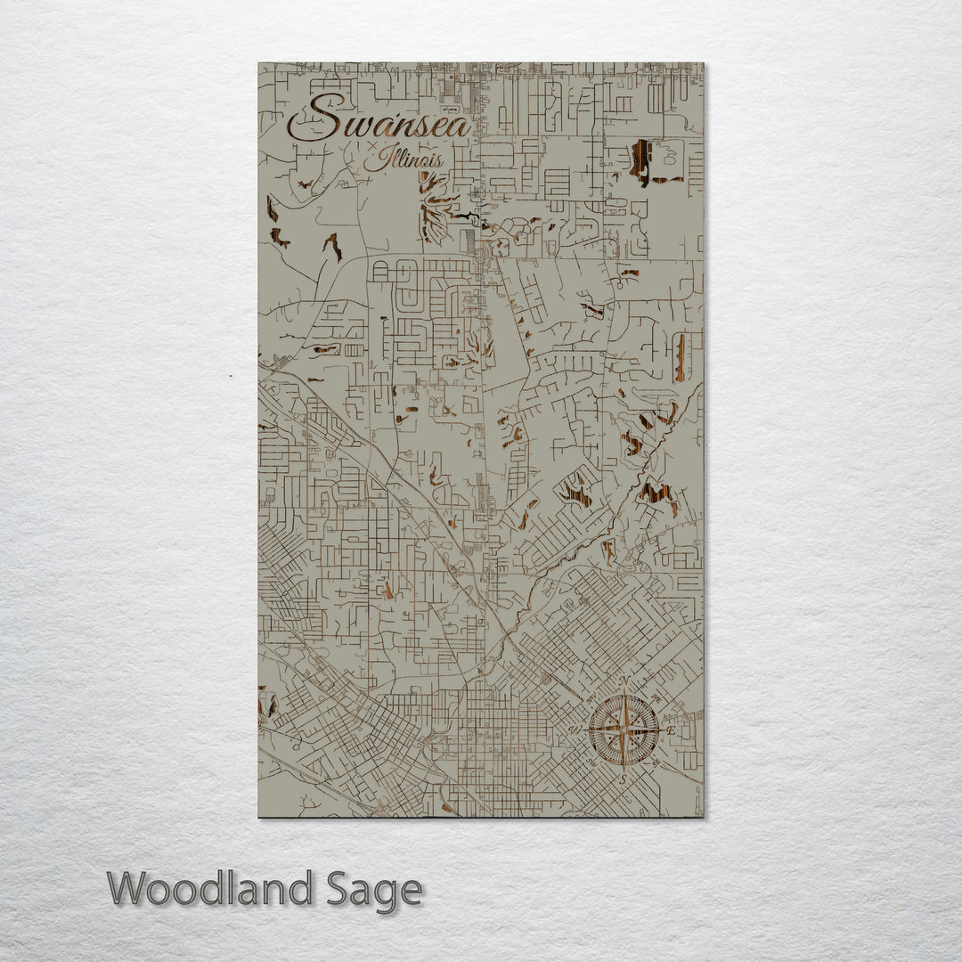 Swansea, Illinois Street Map