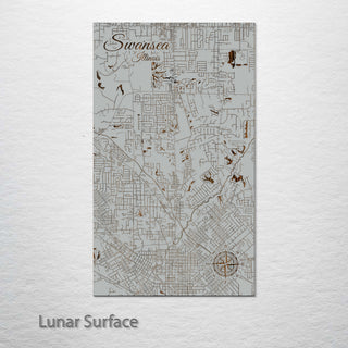 Swansea, Illinois Street Map