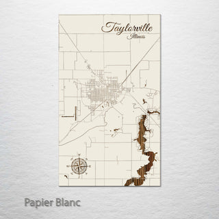 Taylorville, Illinois Street Map