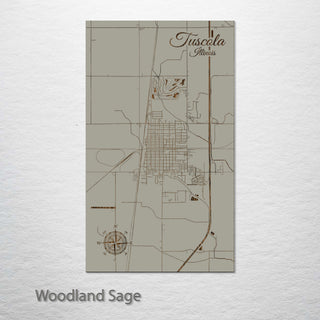 Tuscola, Illinois Street Map
