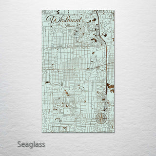 Westmont, Illinois Street Map
